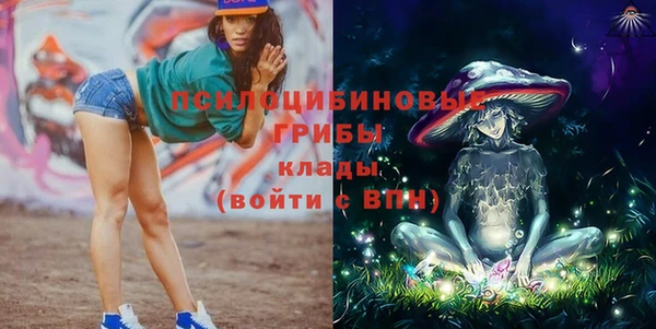 прущие крисы Гусиноозёрск