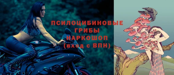 винт Гусь-Хрустальный