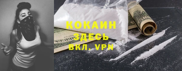 винт Гусь-Хрустальный