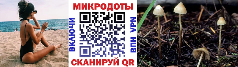 закладки  Дедовск  Псилоцибиновые грибы прущие грибы 